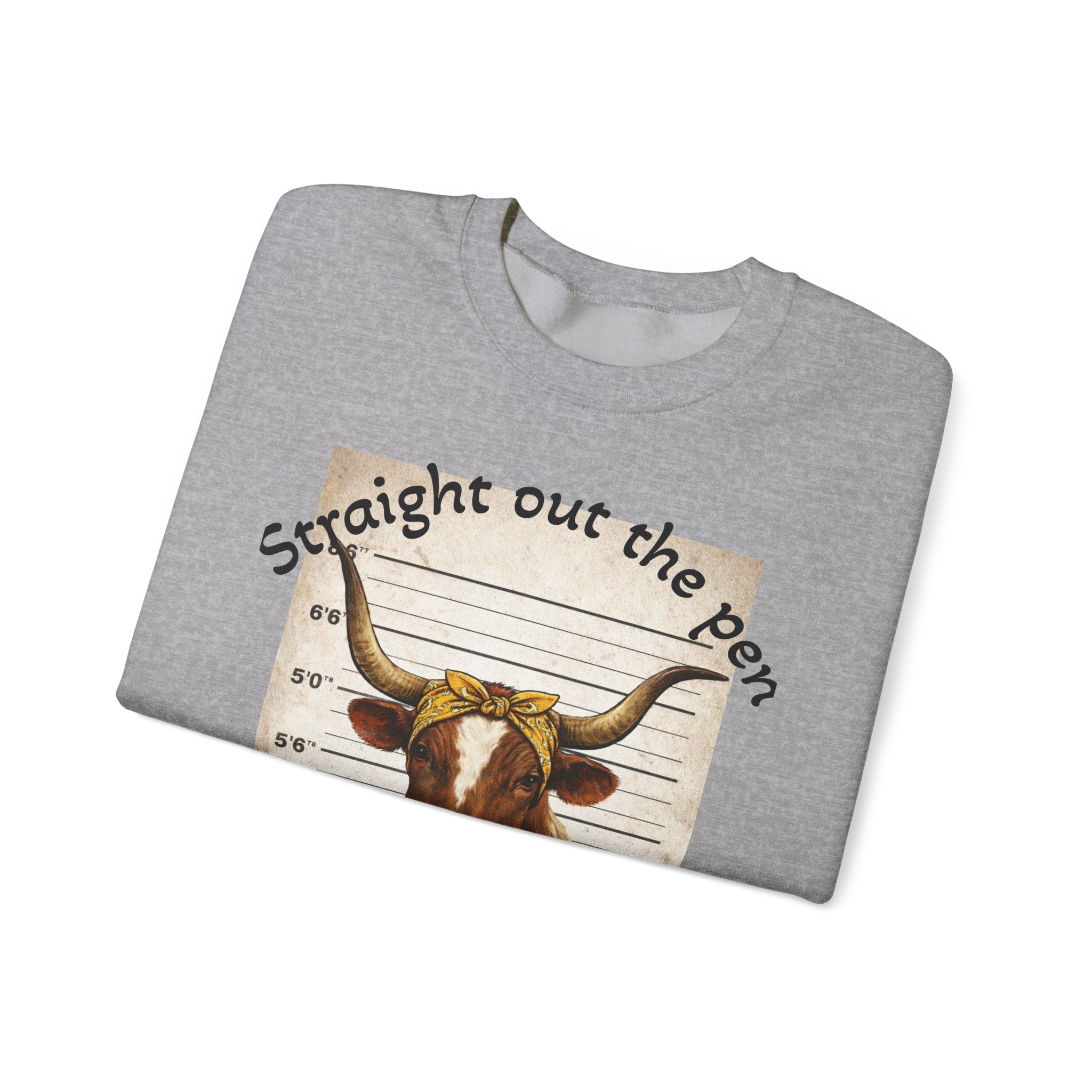 Straight Out the Pen Longhorn Mugshot Sweatshirt