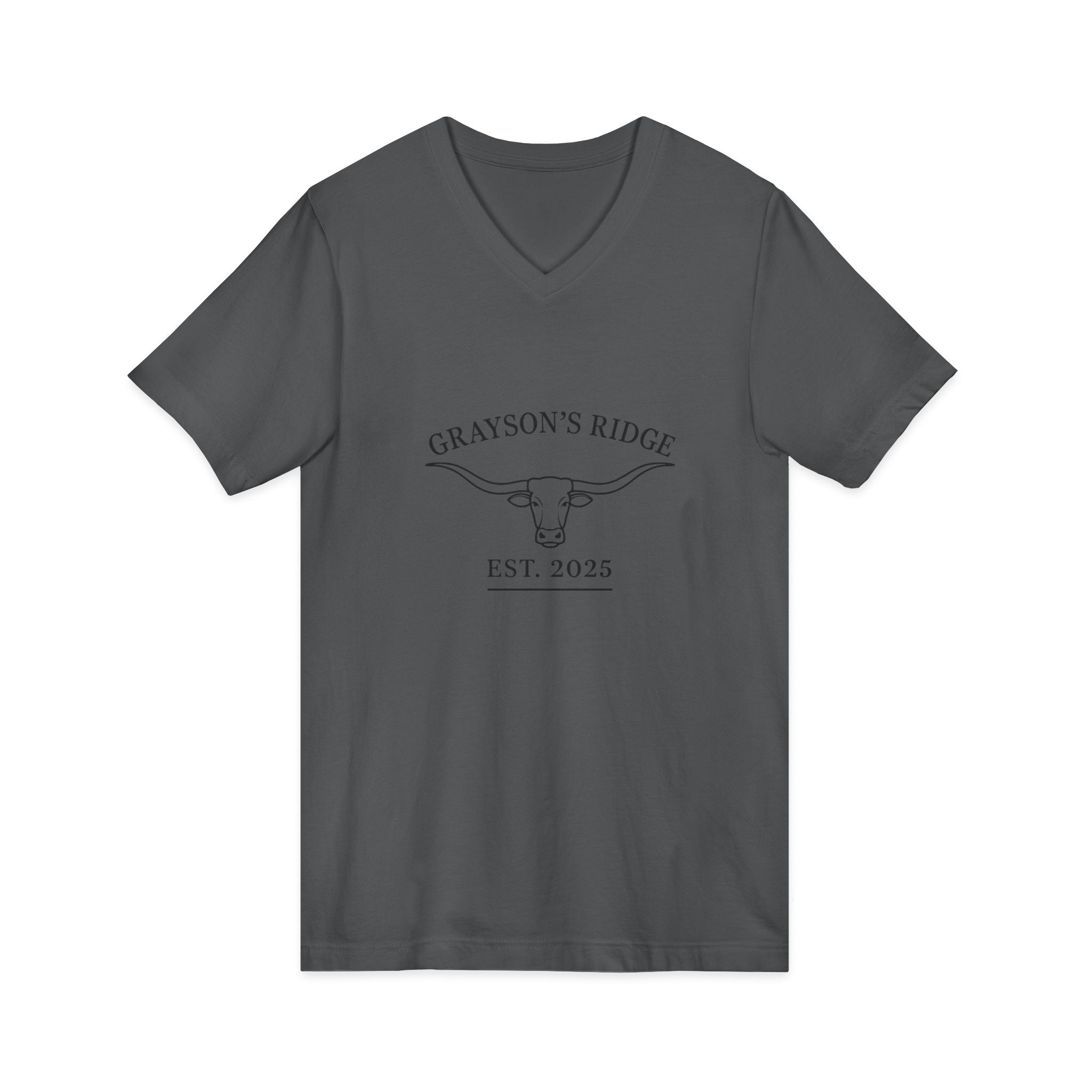 Unisex Jersey Short Sleeve V-Neck Tee