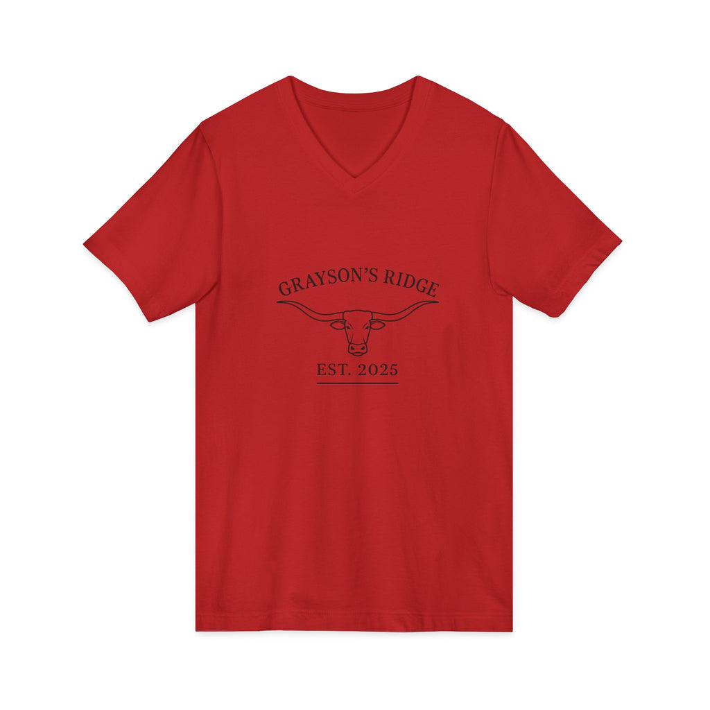 Unisex Jersey Short Sleeve V-Neck Tee